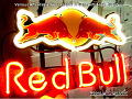 Red Bull Energy Logo Beer Bar Neon Light Sign